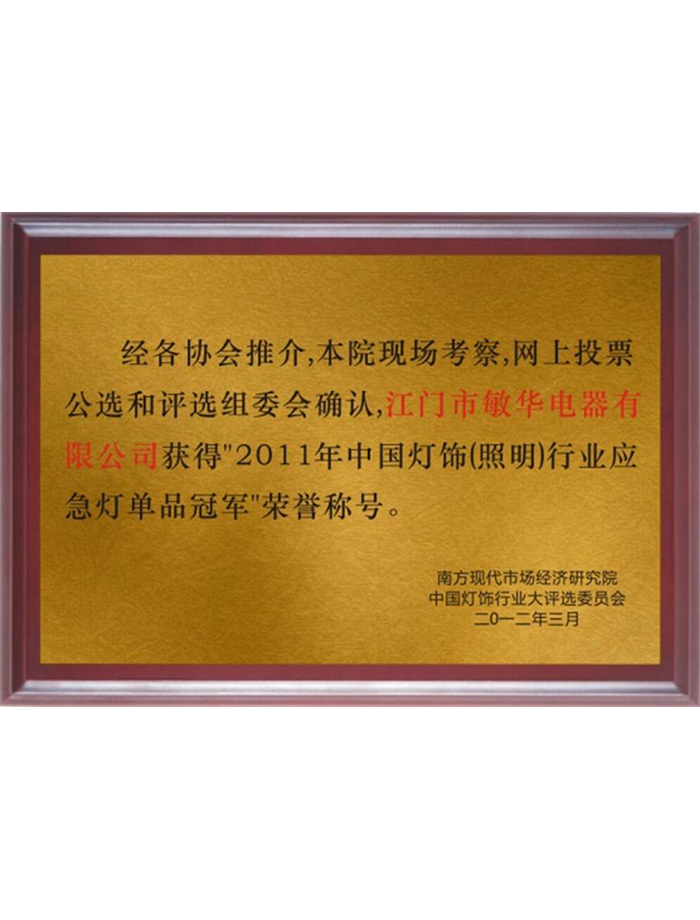 2011年中国灯饰行业应急单品冠军