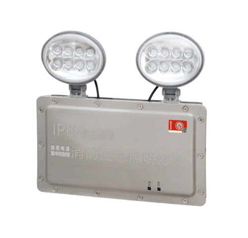 敏华自电集控IP65防水型双头应急灯消防应急照明灯 A型DC24V 36VM6511（M-ZFZC-E2W6511）自电集控防水双头灯